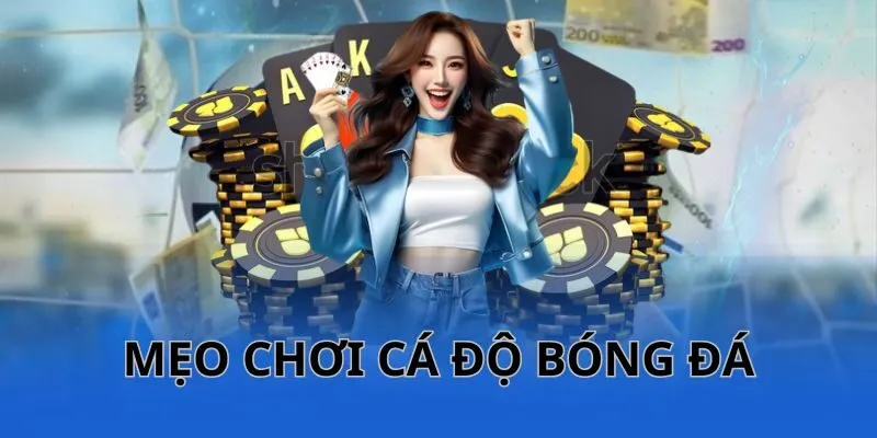 Mẹo chơi cá độ bóng đá hiệu quả