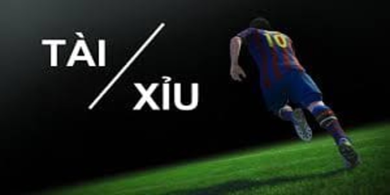 soi kèo tài xỉu soi kèo tài xỉu